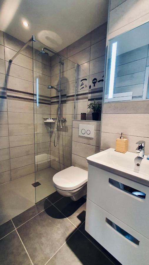 شقة Le Continental Beau T2 Plein Centre + Parking آنسي المظهر الخارجي الصورة