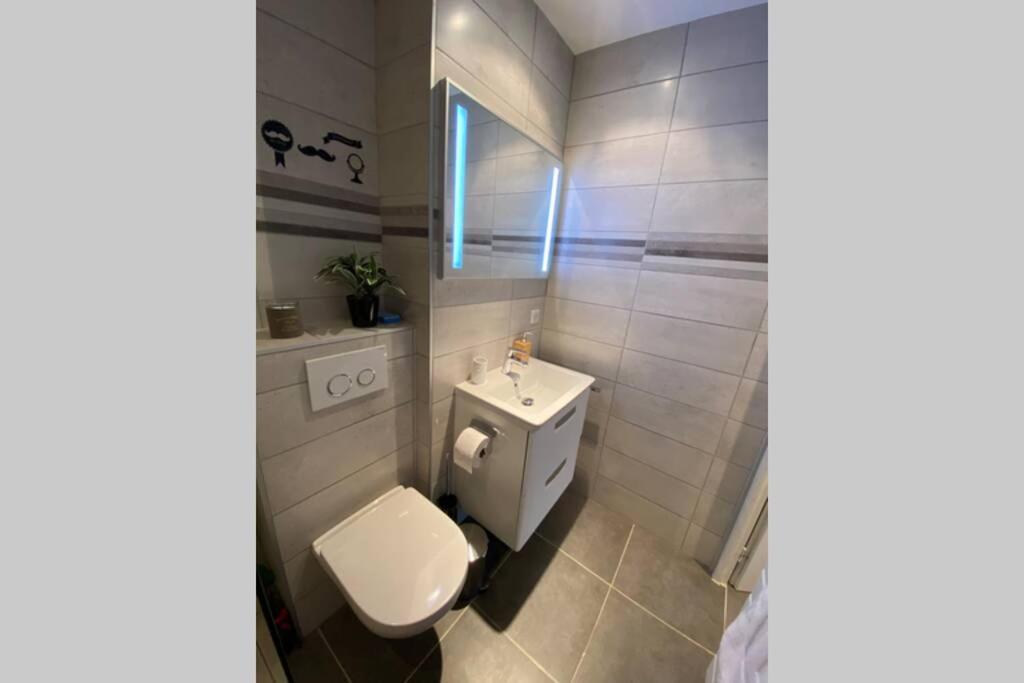 شقة Le Continental Beau T2 Plein Centre + Parking آنسي المظهر الخارجي الصورة